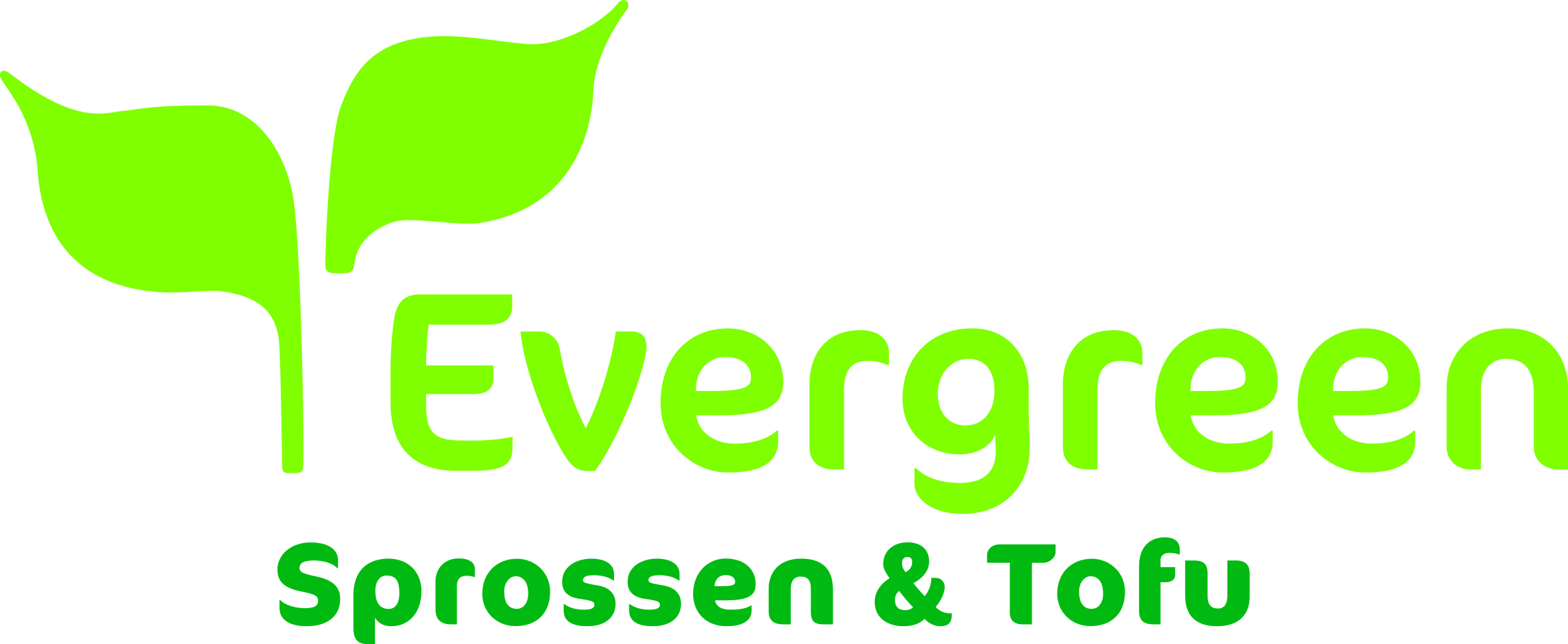 Evergreen Agra